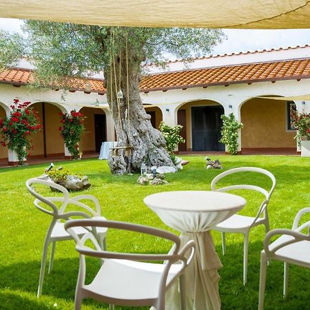 Tenuta Amalthea Βίλα Sessa Aurunca Εξωτερικό φωτογραφία