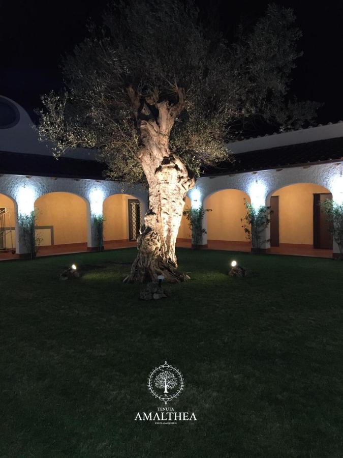 Tenuta Amalthea Βίλα Sessa Aurunca Εξωτερικό φωτογραφία