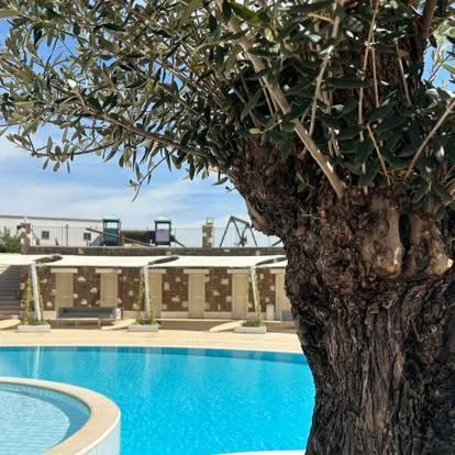 Tenuta Amalthea Βίλα Sessa Aurunca Εξωτερικό φωτογραφία